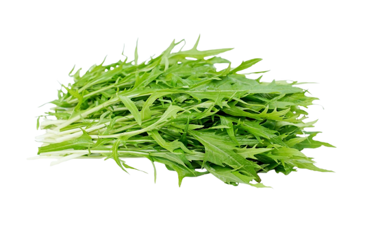 Green Mizuna Leaf