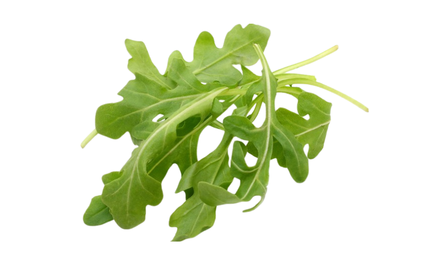 Baby Arugula